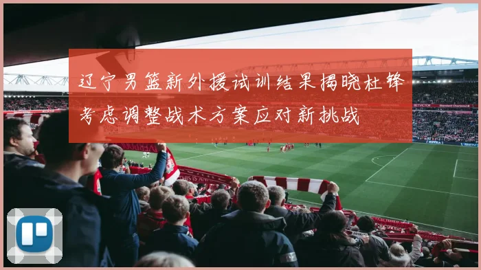 辽宁男篮新外援试训结果揭晓杜锋考虑调整战术方案应对新挑战